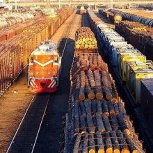  海南省南方原竹木批發市場 主營 原木 竹. 瓜菜 水